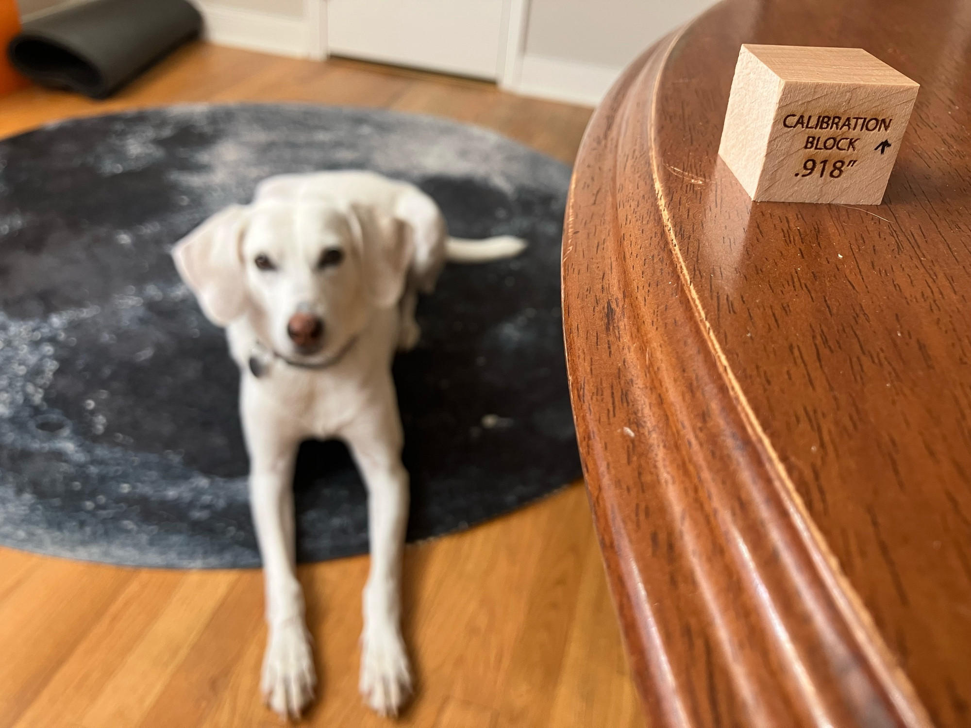 Photo of Provisional Press letterpress calibration block, a .918” nearly-a-cube of light-colored maple wood with that information laser burnt into its side, sitting on a table. In the background, a white dog with long legs lounges on a full-moon-shaped rug and looks on expectantly.